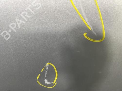 Left rear door MERCEDES-BENZ E-CLASS (W210) E 220 CDI (210.006) | BP22837761C4 