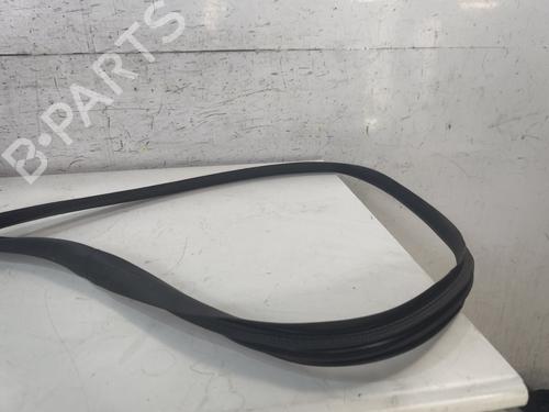 Gummiliste RENAULT AUSTRAL TCe 130 (HGM2) | BP37731931C142 - Image 3