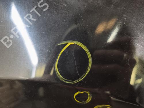 Left front fenders RENAULT CLIO III (BR0/1, CR0/1) 1.2 16V (BR02, BR0J, BR11, CR02, CR0J, CR11) | BP29869200C41
