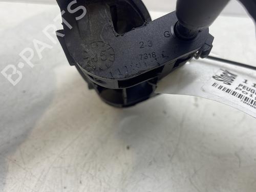 Venstre bak utvendig håndtak PEUGEOT 206 Hatchback (2A/C) 1.6 16V | BP29044144C130 