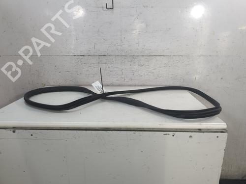 Gummiliste RENAULT AUSTRAL TCe 130 (HGM2) | BP37731931C142 - Image 2