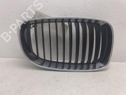 Grill BMW 1 (E87) 120 d (177 hp) 31271739