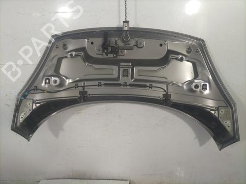 Hood RENAULT SCÉNIC III (JZ0/1_) 1.5 dCi | BP23829220C1 