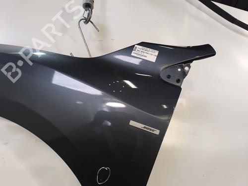 Left front fenders RENAULT MEGANE III Hatchback (BZ0/1_, B3_) 1.5 dCi (BZ09, BZ0D, BZ1W, BZ29, BZ14) | BP29222462C41 