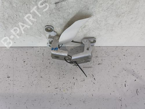 Hinge/Door check strap RENAULT SCÉNIC IV (J9_) 1.6 dCi 160 | BP28731322C146 