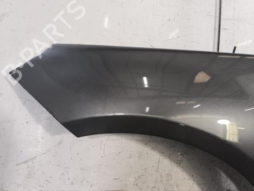 Left front fenders MERCEDES-BENZ B-CLASS Sports Tourer (W245) B 180 CDI (245.207) | BP24981682C41 
