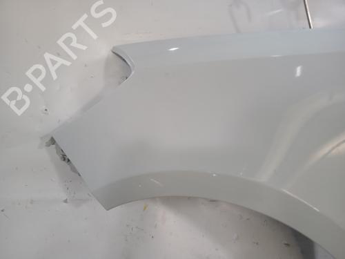 Left front fenders RENAULT CLIO III (BR0/1, CR0/1) 1.5 dCi | BP29540970C41 
