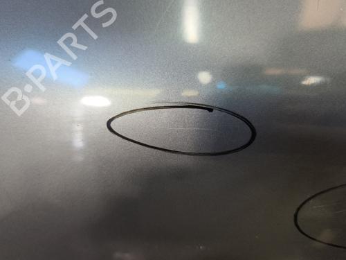 Left front door RENAULT CLIO II (BB_, CB_) 1.9 dTi (B/CB0U) | BP29619360C2 