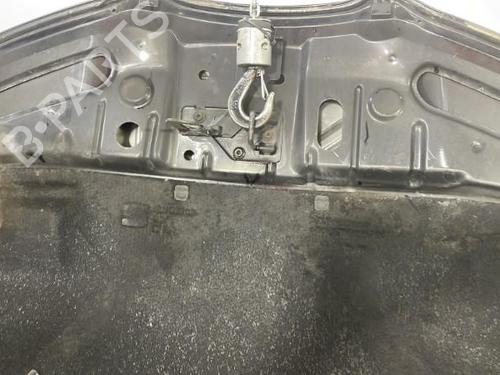 Hood SEAT IBIZA III (6L1) 1.9 TDI | BP22836046C1