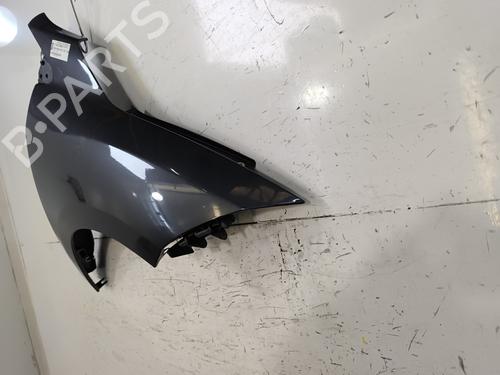 Błotnik przedni prawy RENAULT MEGANE III Hatchback (BZ0/1_, B3_) 1.5 dCi (BZ09, BZ0D, BZ1W, BZ29, BZ14) | BP29894137C42