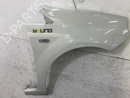 Used Right front fenders FIAT PUNTO (199_) 1.2 (199AXZ1A, 199BXZ1A) (69 hp) 31582152