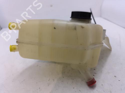 Expansion tank FORD FIESTA VI (CB1, CCN) 1.4 TDCi | BP29193981C120 