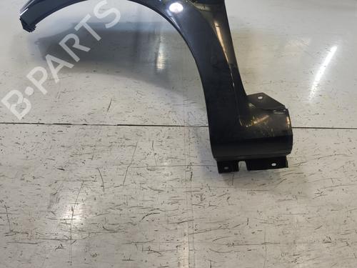 Left front fenders RENAULT TWINGO II (CN0_) 1.2 16V (CN04, CN0B) | BP32454295C41 