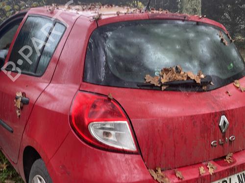 Hood RENAULT CLIO III (BR0/1, CR0/1) 1.5 dCi (C/BR0G, C/BR1G) | BP22844534C1
