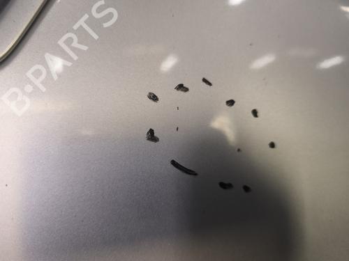 Hood RENAULT MEGANE III Hatchback (BZ0/1_, B3_) 1.5 dCi (BZ0C) | BP32313787C1