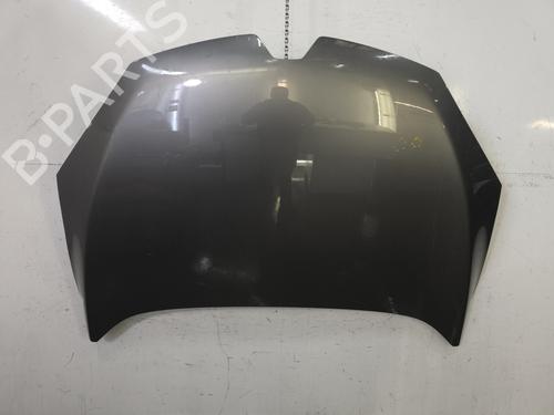 hood-renault-megane-iii-hatchback-bz01_-b3_-2008-32205074 main image
