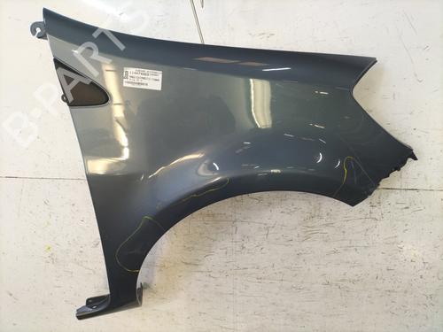 Used Right front fenders RENAULT CLIO III (BR0/1, CR0/1) 1.2 16V (103 hp) 30647424