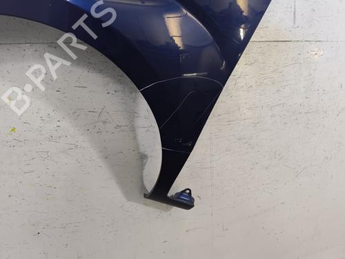 Left front fenders FIAT QUBO (225_) 1.3 D Multijet (225CXB1A, 225AXB1A, 225CXB11, 225AXB11,... | BP28525817C41