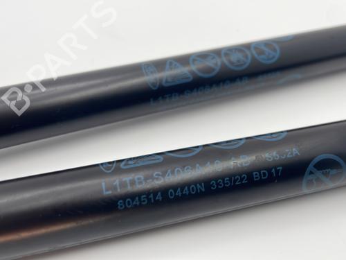 Tailgate lift support FORD PUMA (J2K, CF7) 1.0 EcoBoost mHEV | BP31079980C138