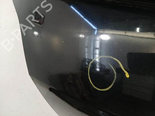 Tailgate RENAULT CLIO III (BR0/1, CR0/1) 1.5 dCi | BP29640012C6 