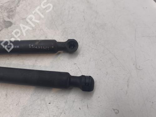 Tailgate lift support DACIA SANDERO II  | BP27545896C138 