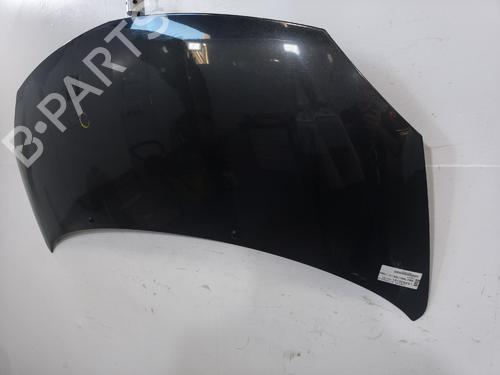 hood-renault-twingo-ii-cn0_-2007-40055081 main image