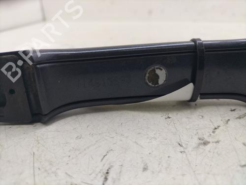 Rear left exterior door handle RENAULT MEGANE II (BM0/1_, CM0/1_) 2.0 dCi (BM1K, CM1K) | BP29960211C130