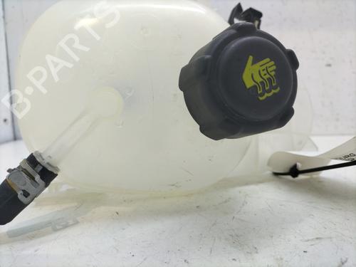 Expansion tank RENAULT TWINGO III (BCM_, BCA_)  | BP27296453C120 