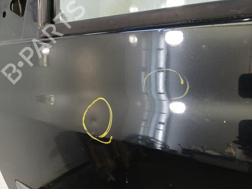 Left front door RENAULT CLIO III (BR0/1, CR0/1) 1.5 dCi | BP29640016C2 