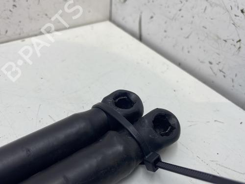 Tailgate lift support CITROËN C4 I (LC_) 1.6 HDi | BP26742033C138 