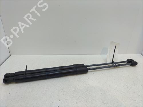 BP30134687C138 main image