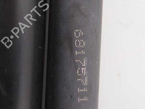 Tailgate lift support DACIA SANDERO II 1.5 dCi | BP22825450C138