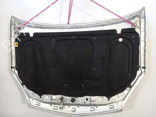 Hood OPEL VECTRA C GTS (Z02) 1.9 CDTI (F68) | BP29598690C1 