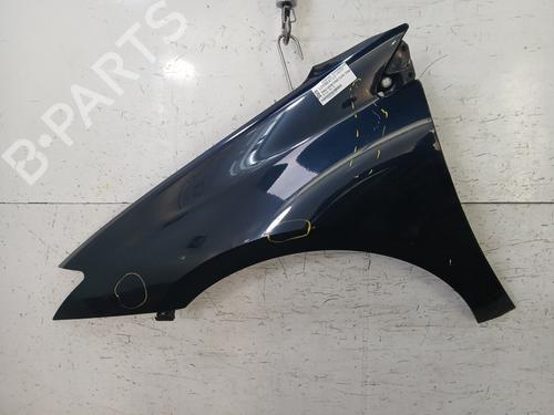 Used Left front fenders RENAULT LAGUNA III (BT0/1) 2.0 dCi (BT01, BT08, BT09, BT0E, BT0K, BT12, BT1C, BT1D,... (150 hp) 32364966