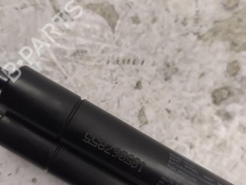 Hood lift support LAND ROVER RANGE ROVER EVOQUE (L538) 2.2 D 4x4 | BP25374639C139 
