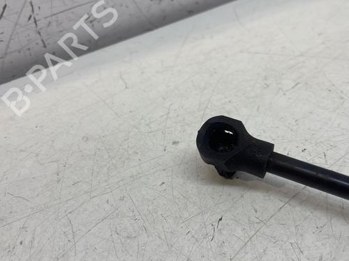 Tailgate lift support RENAULT CLIO IV (BH_) 1.5 dCi 110 | BP28709617C138