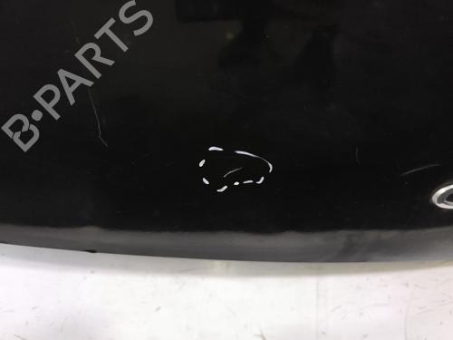 Tailgate RENAULT CLIO III (BR0/1, CR0/1) 1.2 16V (BR02, BR0J, BR11, CR02, CR0J, CR11) | BP29960142C6 