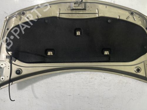 Hood RENAULT CLIO III (BR0/1, CR0/1) 1.5 dCi (BR17, CR17) | BP22846375C1 