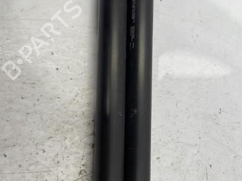Tailgate lift support CITROËN BERLINGO MULTISPACE (B9) 1.6 HDi 90 | BP22833459C138 