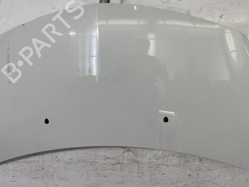 Hood RENAULT CLIO III (BR0/1, CR0/1) 1.5 dCi (C/BR0G, C/BR1G) | BP22844505C1