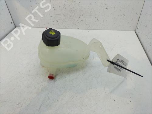 Ekspansjonstank RENAULT MEGANE E-TECH SUV EV60 (BNJ1) | BP28679452C120 - Image 3