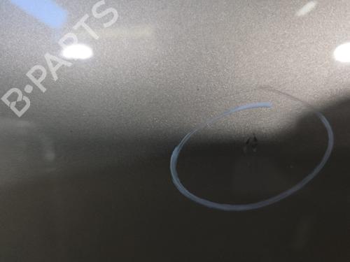 Left rear door RENAULT SCÉNIC III (JZ0/1_) 1.5 dCi | BP29619430C4 