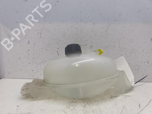 Used Expansion tank Expansion tank RENAULT MASTER III Van (FV) [2010-2026] 26584949 26584949