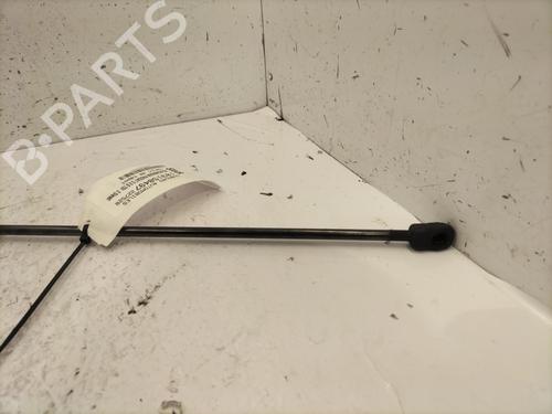 Hood lift support VW PASSAT B6 (3C2) 2.0 TDI 16V | BP24469096C139 