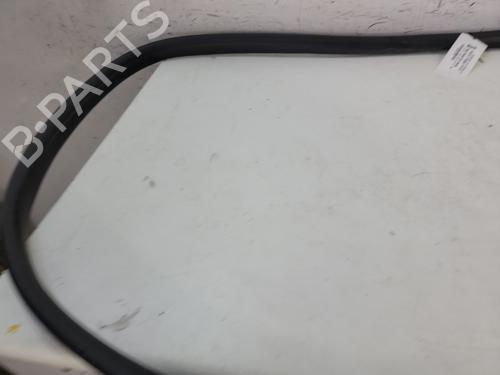 Rubber door seal RENAULT SCENIC E-TECH PHASE I EV87 | BP28064861C142 
