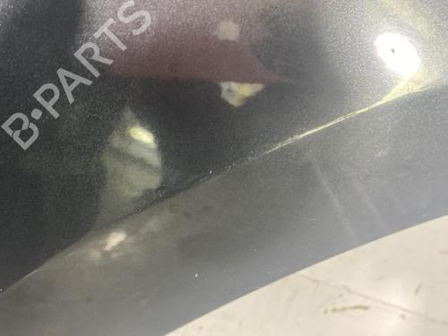 Used Right front fenders RENAULT MEGANE CC (EZ0/1_) 1.9 dCi (EZ0J, EZ1S) (131 hp) 29561914