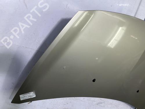 Hood RENAULT CLIO III (BR0/1, CR0/1) 1.5 dCi (C/BR0G, C/BR1G) | BP22843204C1 