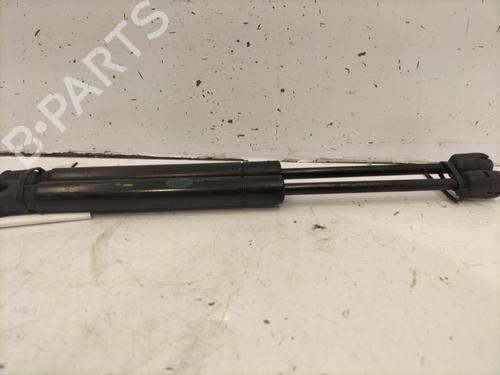 Hood lift support LAND ROVER RANGE ROVER EVOQUE (L538) 2.0 D 4x4 | BP22846906C139 