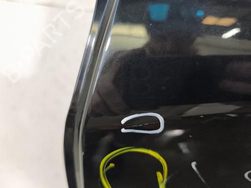 Left rear door RENAULT ZOE (BFM_) ZOE | BP29598788C4 