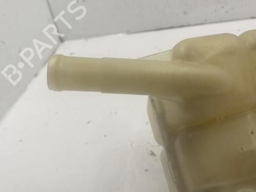 Expansion tank RENAULT SCÉNIC IV (J9_) 1.7 Blue dCi 120 (J9A7, J9A8) | BP22843203C120 